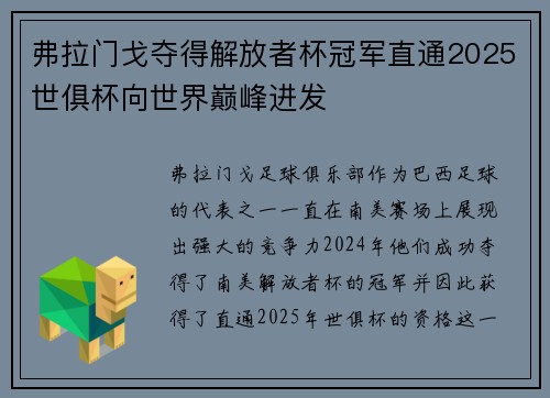 弗拉门戈夺得解放者杯冠军直通2025世俱杯向世界巅峰进发 弗拉门戈夺得解放者杯冠军直通2025世俱杯向世界巅峰进发